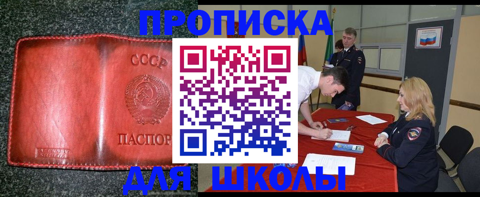 прописка в квартире в Домодедово