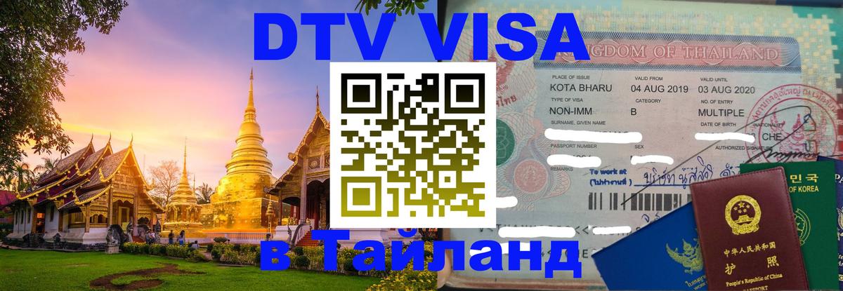 Оформление DTV визы под ключ: стоимость и тарифы, только загранпаспорт - Домодедово  20.11.2025 